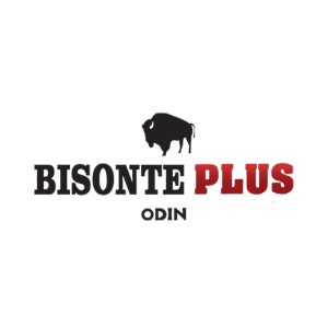 logo bisonte.jpg